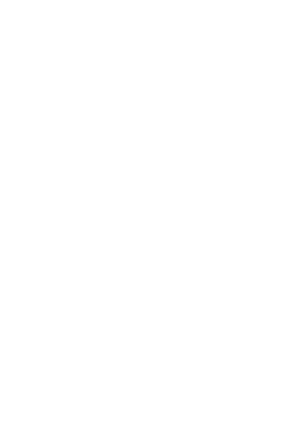 Brand 43